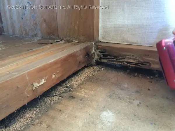 敷居側アメリカカンザイシロアリの被害（糞粒）と右：畳寄せ側ヤマトシロアリの被害