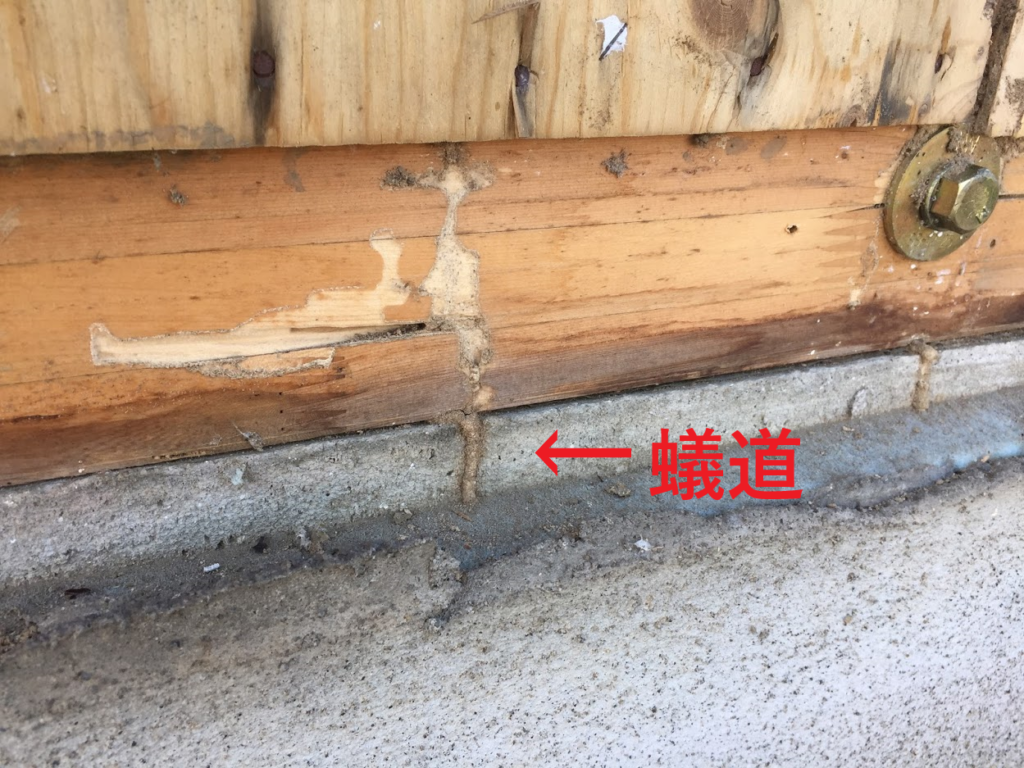 基礎外断熱材からのシロアリ被害 日本ボレイト公式ブログ