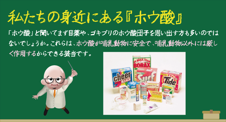 私たちの身近にある『ホウ酸』