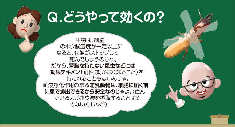 Q.どうやって効くの?