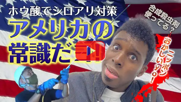 【超新塾コラボ動画】 アメリカ人が証言！ホウ酸使わない日本がおかしい!?