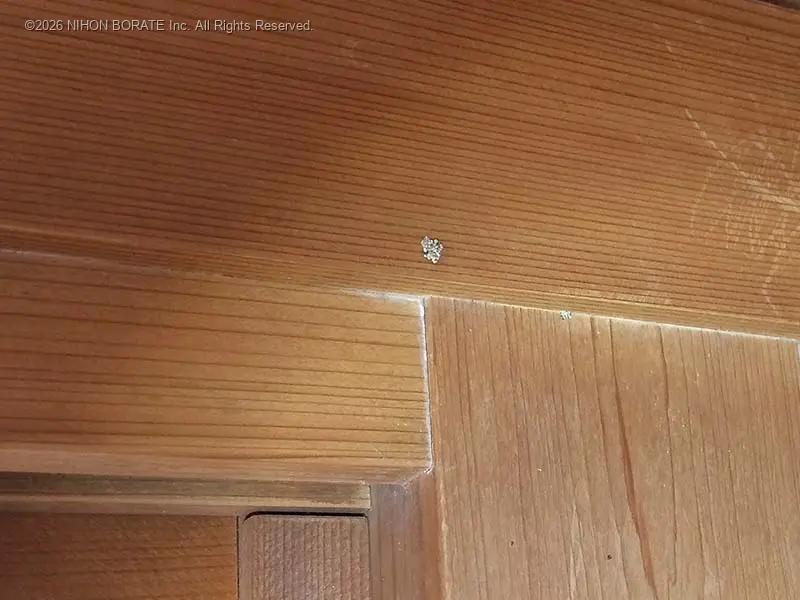 被害のサイン、蹴り出し穴