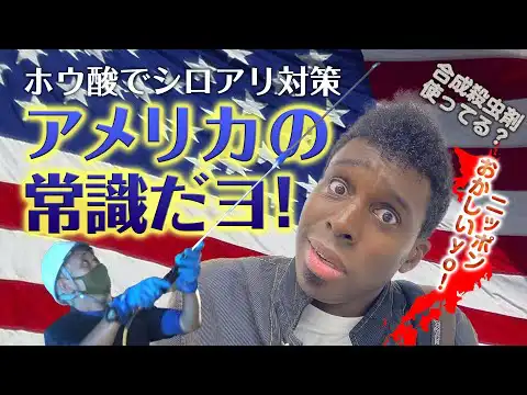 【超新塾コラボ動画】 日本ボレイトで働いているのは誰？？答えは見てのお楽しみ！！