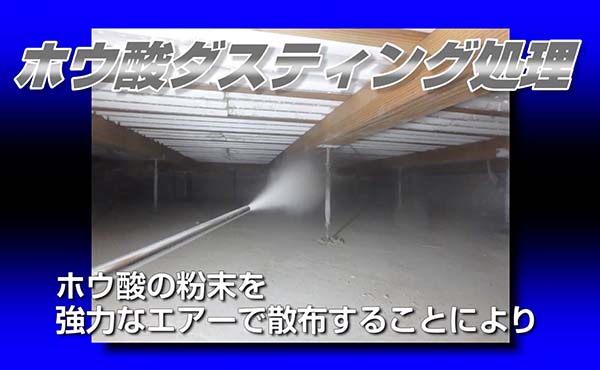 ホウ酸ダスティング®処理
