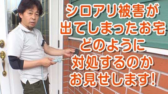 シロアリ被害が出た場合、どのように対処しているのか
