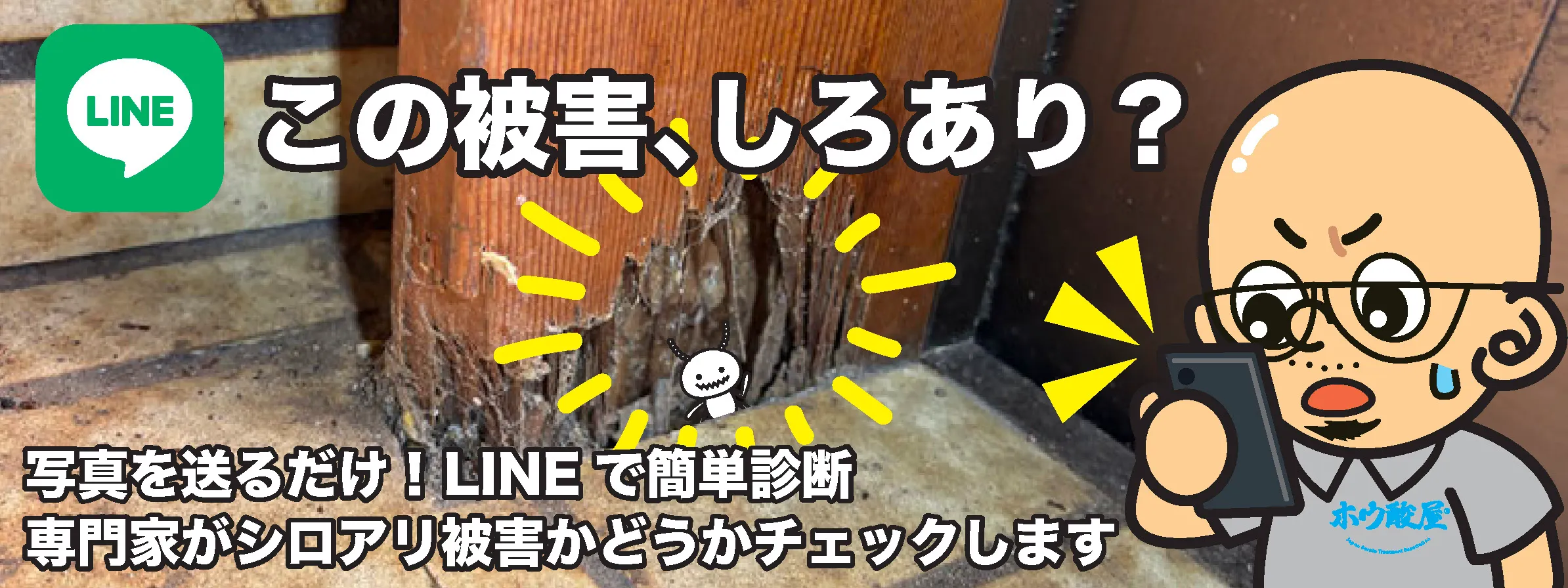 この被害、しろあり？ 写真を送るだけ！LINEで簡単診断 専門家がシロアリ被害かどうかチェックします
