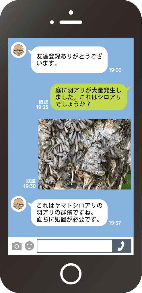 LINEのトーク画面で写真を送ってシロアリかどうか相談している例