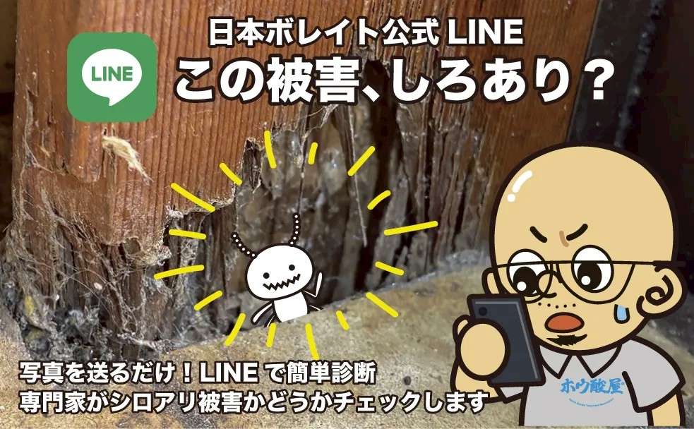日本ボレイトLINEオフィシャル