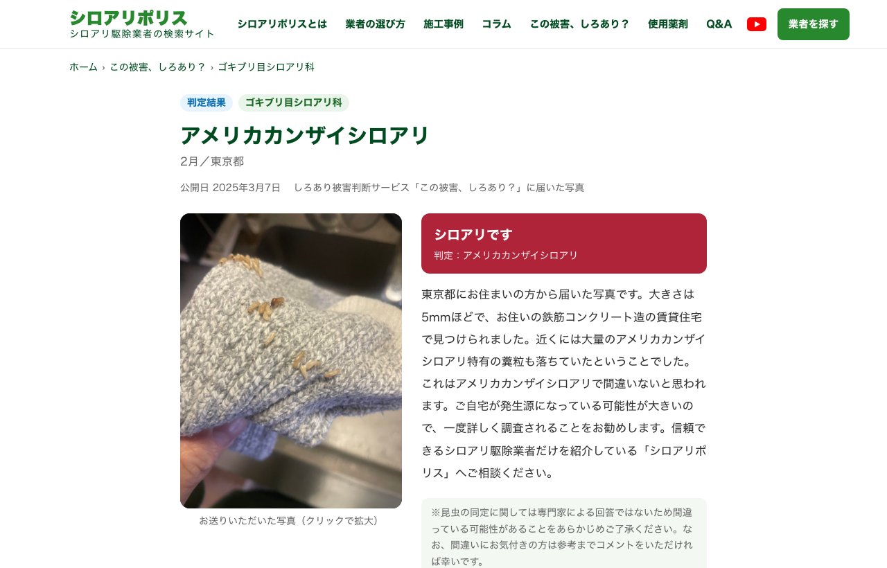 「シロアリです」と表示された判定結果のページ